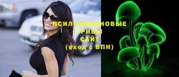 ГАЛЛЮЦИНОГЕННЫЕ ГРИБЫ Алексеевка