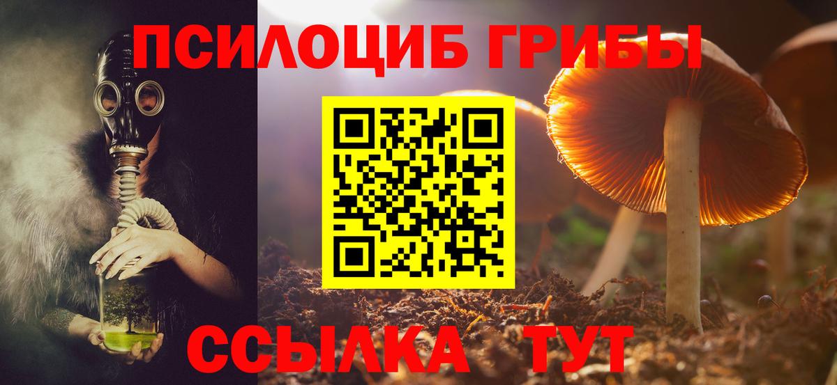 Канаш  Галлюциногенные грибы Psilocybine cubensis  Вход с VPN  Псилоцибиновые грибы прущие грибы 